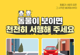 로드킬 동물을 발견한다면?
