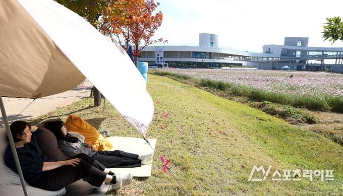 강진만 춤추는 갈대축제, 평일에도 관광객 이어져